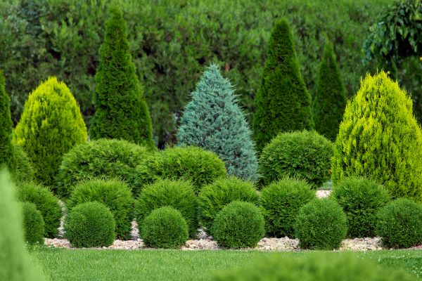 Bush Shaping Service in Norwalk