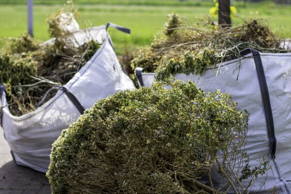 Shrub Removal Service in Norwalk