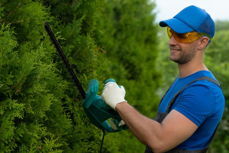 Hedge Shaping Service