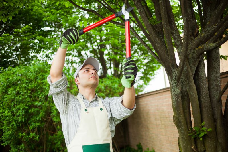 Specialized Tree and Shrub Care